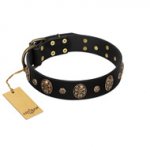 Pirate's Spell' FDT Artisan Black Leather Siberian Husky Collar with Engraved Studs and Medallions