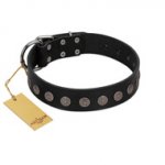 "Silent Star" Handmade FDT Artisan Designer Black Leather Siberian Husky Collar with Engraved Plates