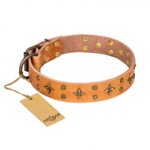 'Top-Flight' FDT Artisan Adorned Tan Leather Siberian Husky Collar