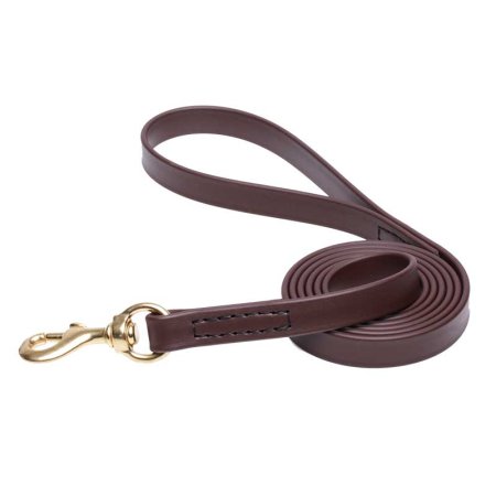 Brown Waterproof Siberian Husky Leash Made of Biothane