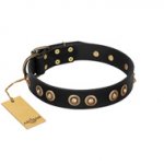 "Golden Artifact" FDT Artisan Black Leather Siberian Husky Collar with Old-bronze Covered Medallions