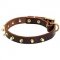 Amazing Leather Siberian Husky Collar with Brass Spikes for Daily Walking