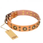 'Sophisticated Glamor' FDT Artisan Tan Leather Husky Collar with Fancy Old-Bronze Plated Decorations