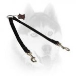 All Weather Couple Siberian Husky Leash for Walking 2 Dogs
