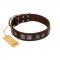 "Needle Stories" Modern FDT Artisan Brown Leather Siberian Husky Collar with Square Engraved Plates and Four-Point Stars