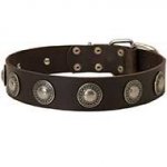 Fabulous Leather Siberian Husky Collar with Hand Set Silver Conchos
