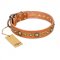 "Feast of Luxury" FDT Artisan Tan Leather Siberian Husky Collar with Old Bronze Look Circles