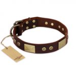 "Shining Armour" FDT Artisan Brown Leather Siberian Husky Collar with Decorations
