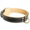 Nappa Padded Leather Siberian Husky Collar for Walking and Training with Comfort