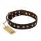 "Bronze Sheen" FDT Artisan Leather Siberian Husky Collar with Brass-Plated Studs