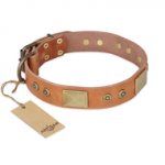 "The Middle Ages" FDT Artisan Handcrafted Tan Leather Siberian Husky Collar