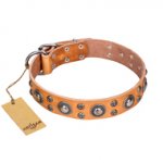 'Extra Sparkle' FDT Artisan Siberian Husky Tan Leather Dog Collar