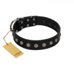 "Silver Flower" Exclusive FDT Artisan Black Leather Siberian Husky Collar with Silver-Like Studs