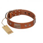 "Great Obelisk" Handcrafted FDT Artisan Tan Leather Siberian Husky Collar with Large Plates and Pyramids