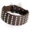 Super Wide Siberian Husky Leather Collar for Extra Comfort
