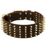 Marvelous Leather Siberian Husky Collar with 5 Rows of Brass Spikes