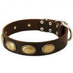 Marvelous Leather Siberian Husky Collar With Vintage Oval Plates for Walking