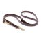 Multipurpose Brown Biothane Siberian Husky Leash for over 7 Different Activities