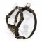 Maximum Control and Reliability Leather Puppy Harness with Spiked Delicate Chest