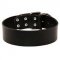 Very Wide Leather Siberian Husky Collar for Everyday Use