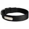 Identification Nylon Siberian Husky Collar for Dog Training