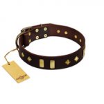 "Blinking Illusion" FDT Artisan Brown Leather Siberian Husky Collar with Old Bronze-like Studs and Plates