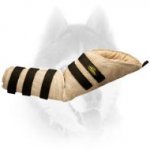 Dog hidden protection sleeve