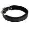 Padded Leather Siberian Husky Collar for Dog Attack Training