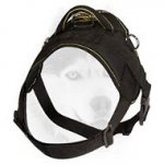Pulling/tracking nylon harness with a handle for Siberian Husky