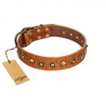 "Prez of the Pack" FDT Artisan Tan Leather Siberian Husky Collar with Skulls and Brooches