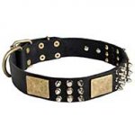 Luxury Leather Spiked and Studded Siberian Husky Collar with Brass Plates