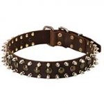 Spiked and Studded Leather Siberian Husky Collar for Fashionable Walking