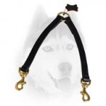 Stitched Leather Leash for Safe Walking with 2 Canines