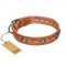 "Daily Chic" FDT Artisan Tan Leather Siberian Husky Collar with Decorations