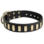Extraordinary Leather Siberian Husky Collar with Special Plates