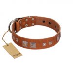 "Egyptian Gifts" Handmade FDT Artisan Tan Leather Siberian Husky Collar with Chrome-plated Pyramids