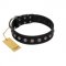 "Silver Flower" Exclusive FDT Artisan Black Leather Siberian Husky Collar with Silver-Like Studs