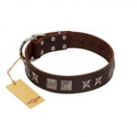 "Needle Stories" Modern FDT Artisan Brown Leather Siberian Husky Collar with Square Engraved Plates and Four-Point Stars