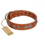 "Woofy Majesty" FDT Artisan Tan Leather Siberian Husky Collar with Round Silver-like Plates