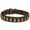 Wonderful Siberian Husky Leather Collar Decorated With Brass Plates