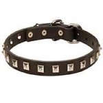 High Quality Leather Siberian Husky Collar with Nickel Studs