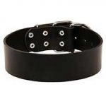 Very Wide Leather Siberian Husky Collar for Everyday Use