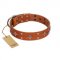 "Tawny Beauty" FDT Artisan Tan Leather Siberian Husky Collar Adorned with Stars and Tiny Squares