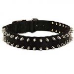 All Weather Nylon Siberian Husky Collar with Nickel Spikes