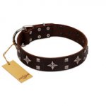 "Trendy Candy" FDT Artisan Brown Leather Siberian Husky Collar Adorned with Stars and Tiny Squares