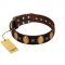 "Crystal Mirror" FDT Artisan Handmade Brown Leather Siberian Husky Collar - 1 1/2 inch (40 mm) Wide
