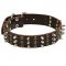 Incredible Leather Siberian Husky Collar with Studs and Spikes for Fashionable Walking