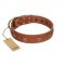 "Star Shine" Exclusive FDT Artisan Tan Leather Siberian Husky Collar with Silver-Like Adornments
