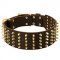 Marvelous Leather Siberian Husky Collar with 5 Rows of Brass Spikes
