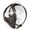 Training leather Siberian Husky harness with D-ring